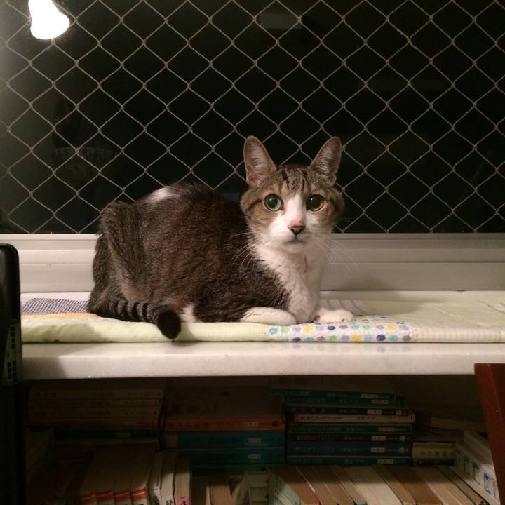 42b3aa45 0edf 406e a2e7 f4fd558eedb6