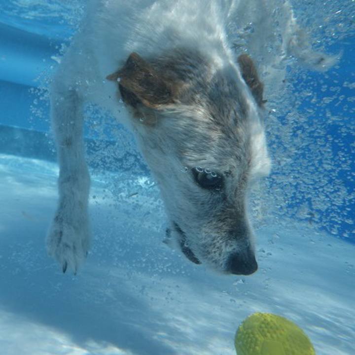 42b3fd3b 8ffb 4f67 a9ab ff5880ae0cae