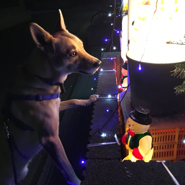 42b4384a c40e 4be1 b370 4dd3c2457600