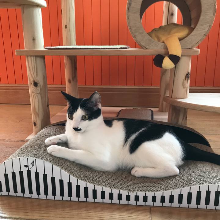 42b448cf 3511 4235 8c09 82ed3c528d11