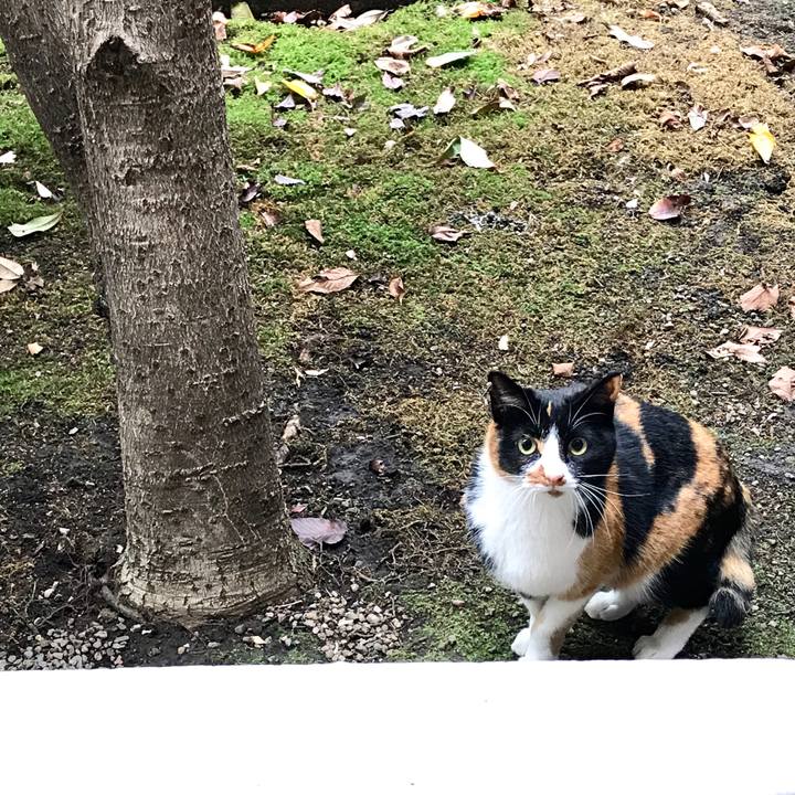 42b523f4 fd0d 4a06 ba02 9dfa63fdb1a7