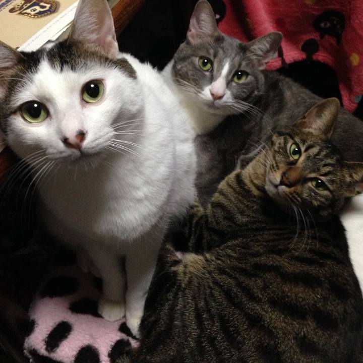 42b54c73 c351 45cb 93aa 5b91ac02a81d