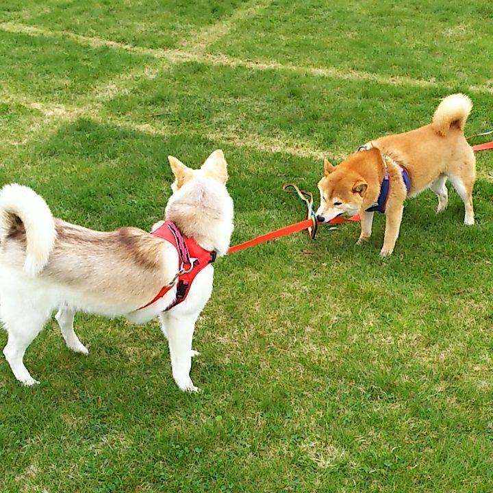 42b63838 04fc 4ea6 a0c5 a0e507efb3d4