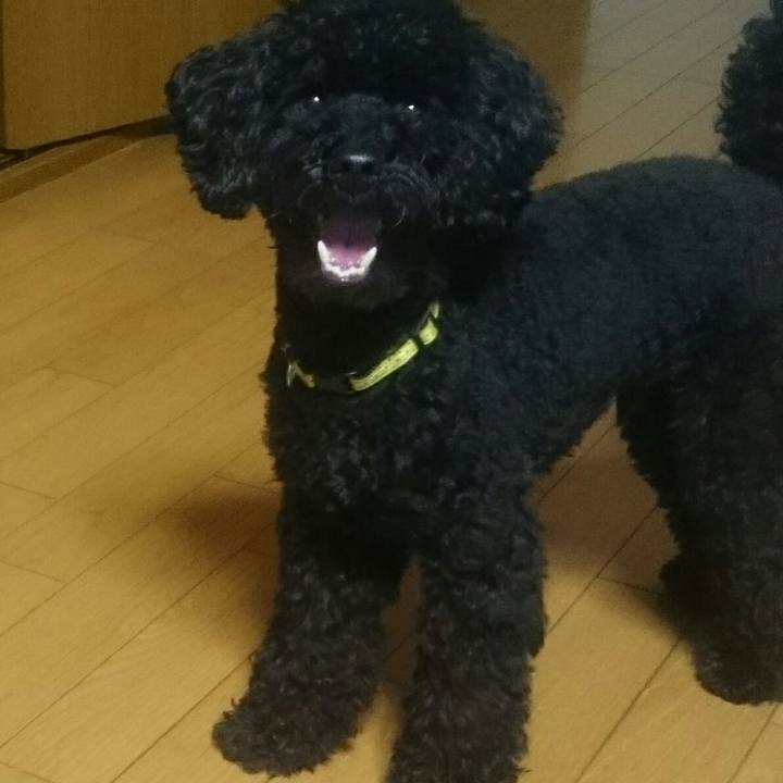 42b69694 8302 4b4d 8353 b04e7a340ba3