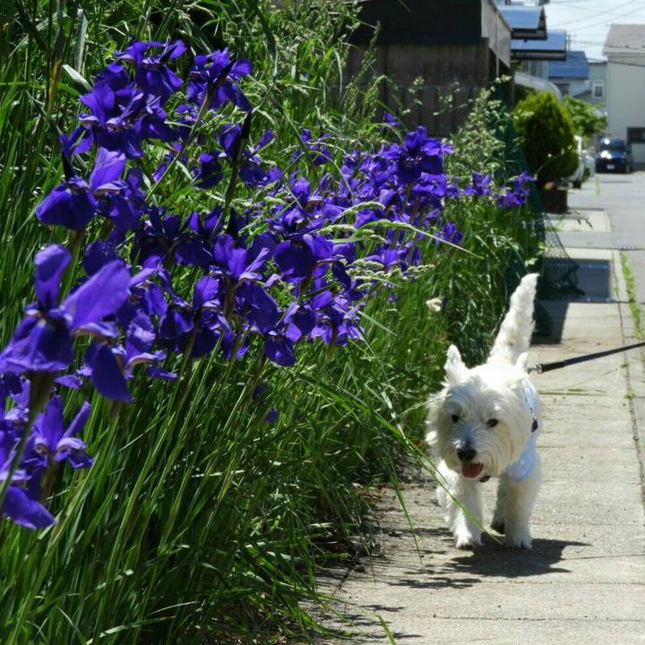 42b6b210 9486 4047 9ac6 fdd7cacd790d