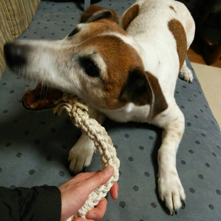 42b8242f e817 4a7c a73f bf688b9cbbf9