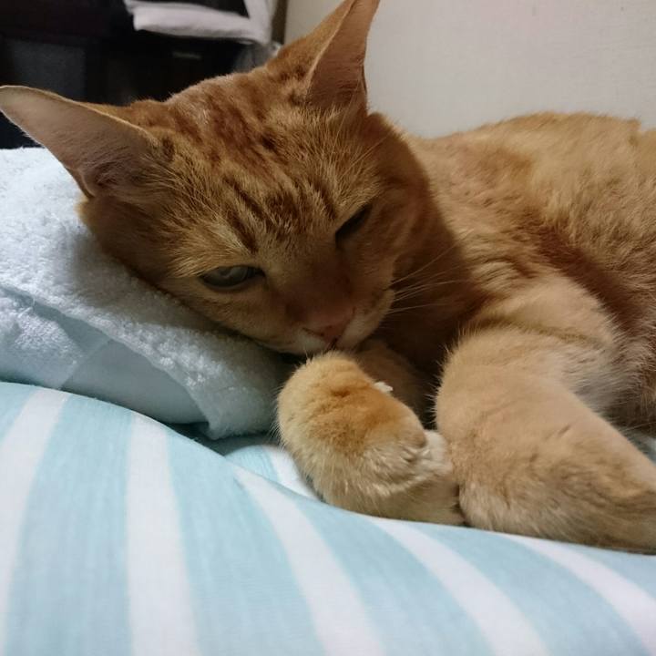 42b921d7 8070 4991 bf94 91b26c938bf1