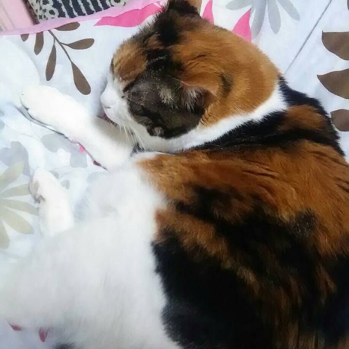 42b93afc e3f9 47d0 a773 ae09573a2c8b