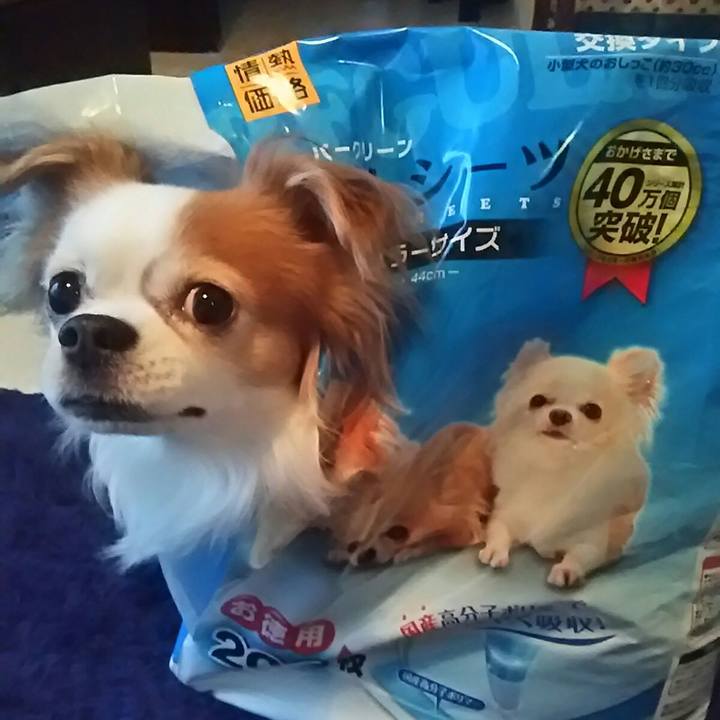 42ba06e3 3ede 4cfe b0fd b6d4d5743614