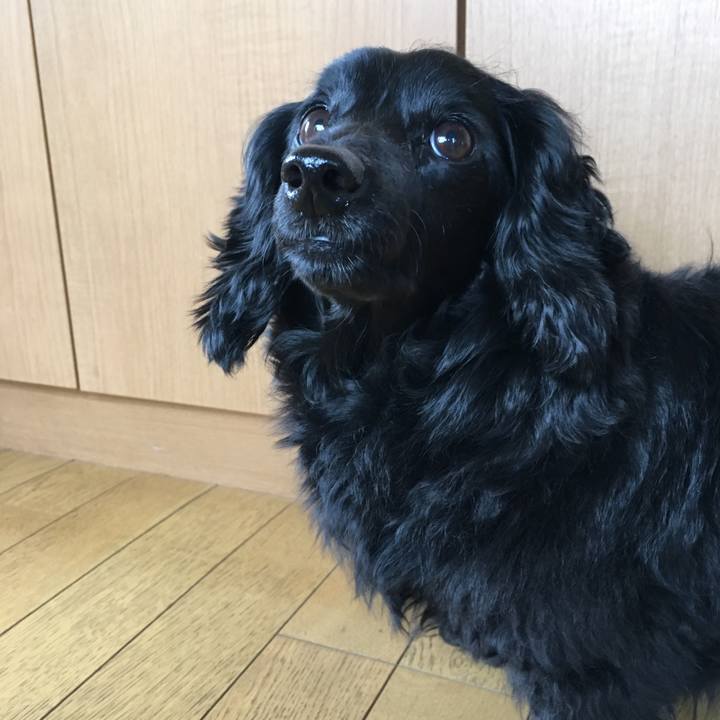 42bacf71 6818 4a12 b5f1 b01ce04c6d87