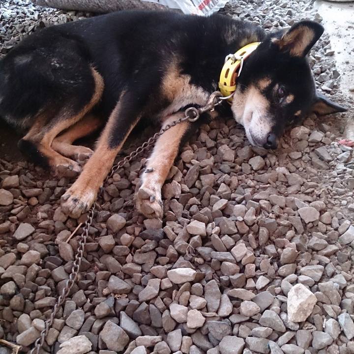 42bc0272 a376 4c73 990e a57944cdea69