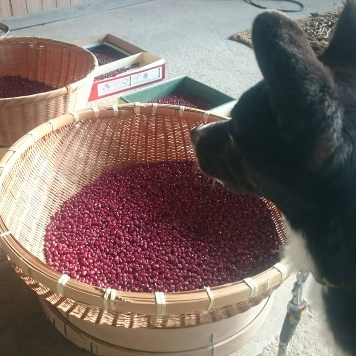 42bc23dd 233d 464d a011 a27803f118f5