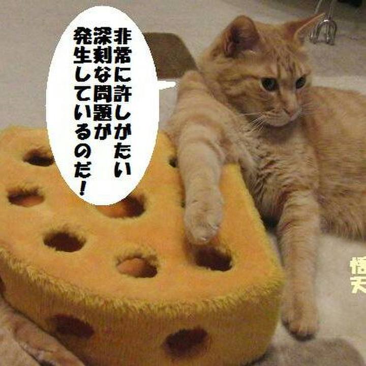 42bccbaf c308 4f36 8c9f e6361f596805