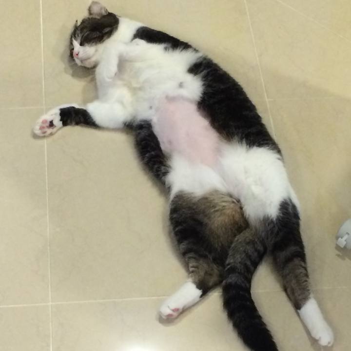 42bce9a9 7bc6 4568 acdf db65e74d4175