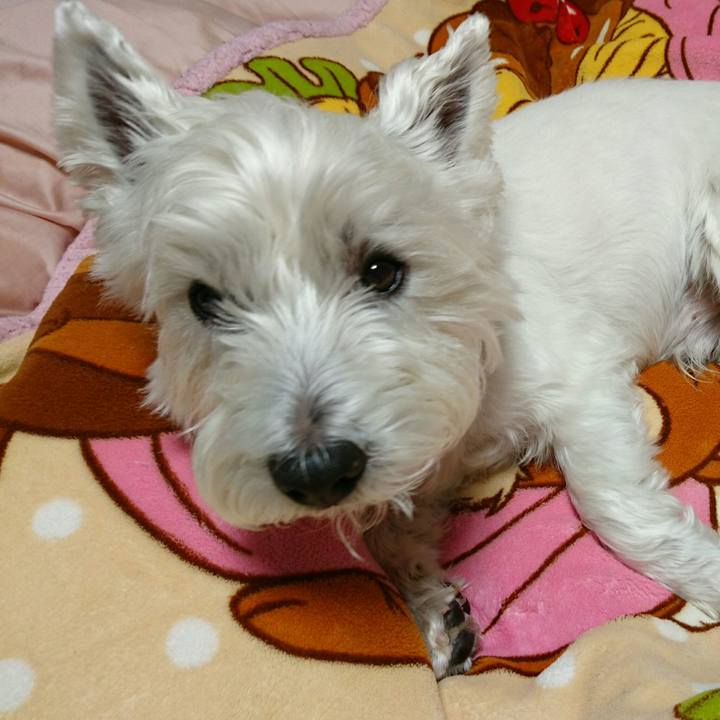 42bda84e 48b4 4550 b2e6 40efe6ff56fd