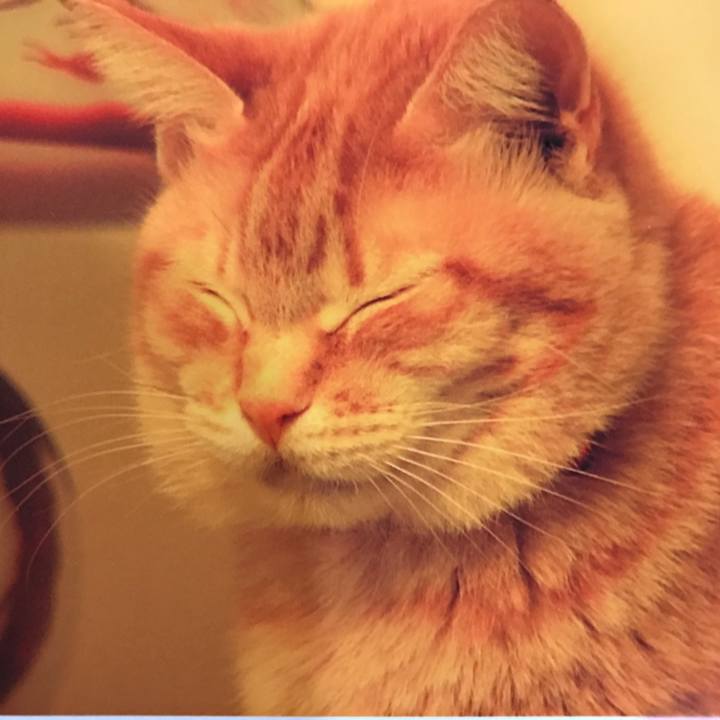 42beba4f 4e32 459c 9c1d 01045ae81b0a