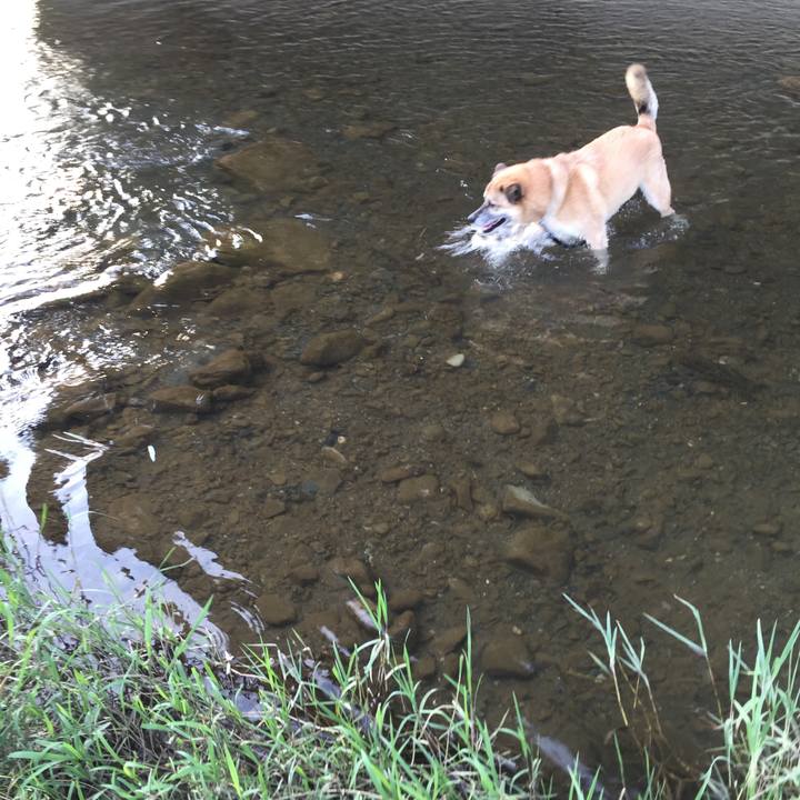 42becc08 3eab 4ccd a374 c45b56173209