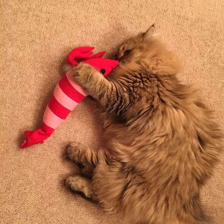 42bf816f 0a12 47fa b234 aba6b5016ea1