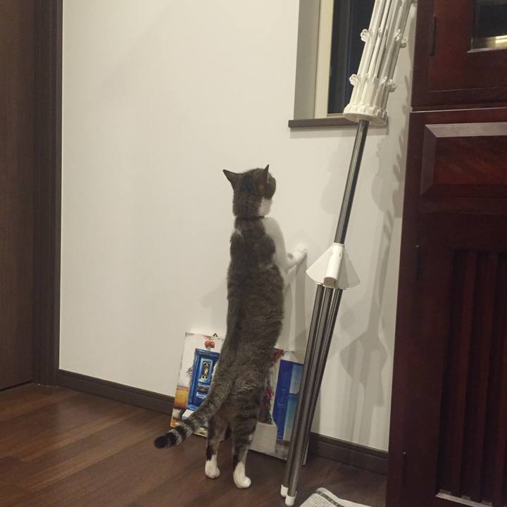 42bf9ff9 1689 4f2c a8b5 3b4432a11032