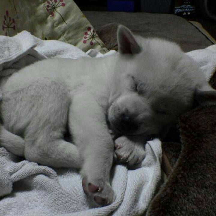 42c0bbe1 51de 4b54 8ffa 063dc4c56522