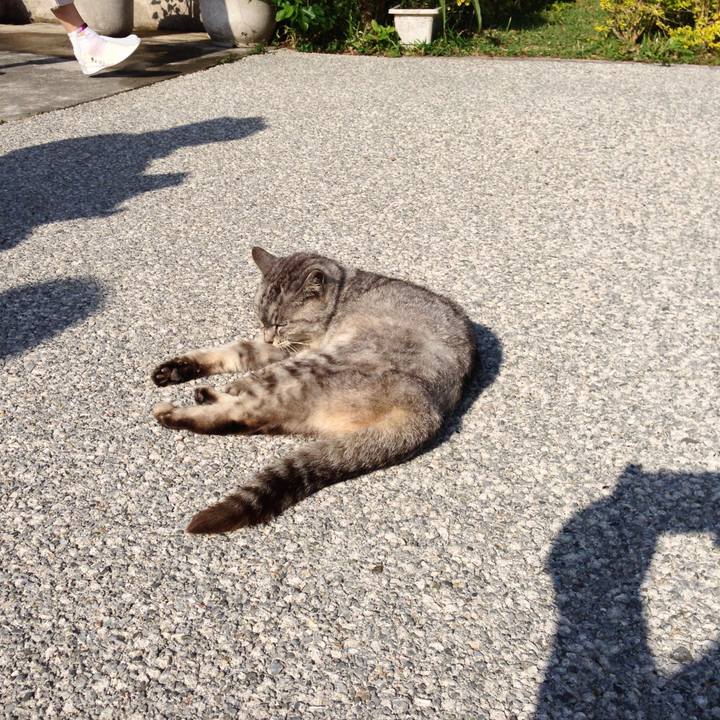 42c0bf6b 7546 4f7f 92c8 f71ec484005d