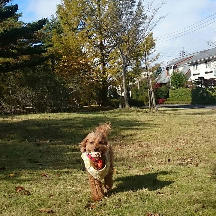 42c0dc2f 8493 4410 8df8 32d2a8353444