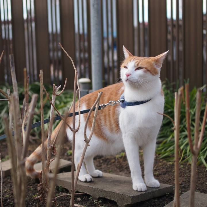 42c0f878 2991 43ed a206 a9f5c84112e5