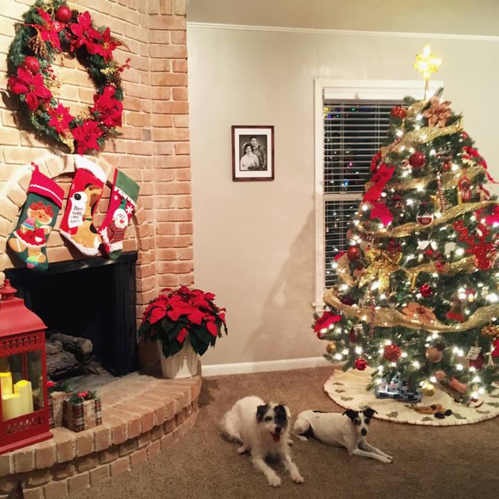 42c158c6 6cb5 4106 9528 df44c8d6adf3