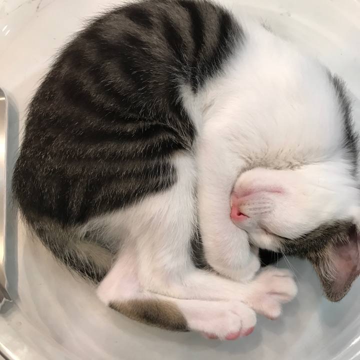 42c181a1 ff86 40f5 996f 4c4972b7d920