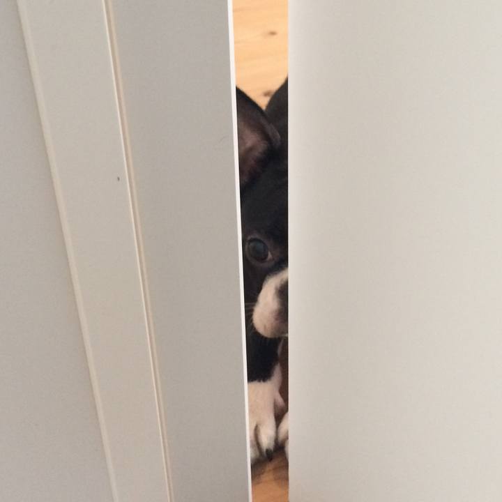 42c1bed3 7902 4f95 ad95 6893711f1aa6