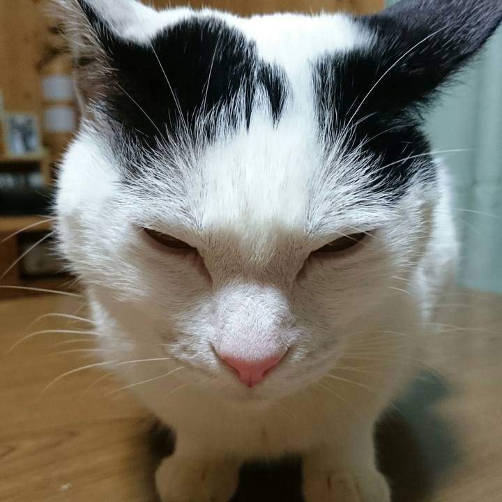 42c1f855 daf1 40d8 89fd f3a629a12065