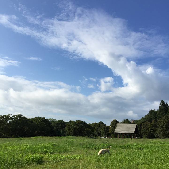 42c281e5 b1e7 4e0e 86bd 5e53aab98126