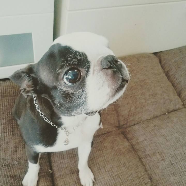 42c327b4 35e4 49ce 8967 75ea8b113239