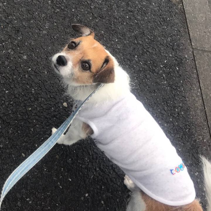 42c390d0 1fc8 4295 b800 b80741ecd1f3