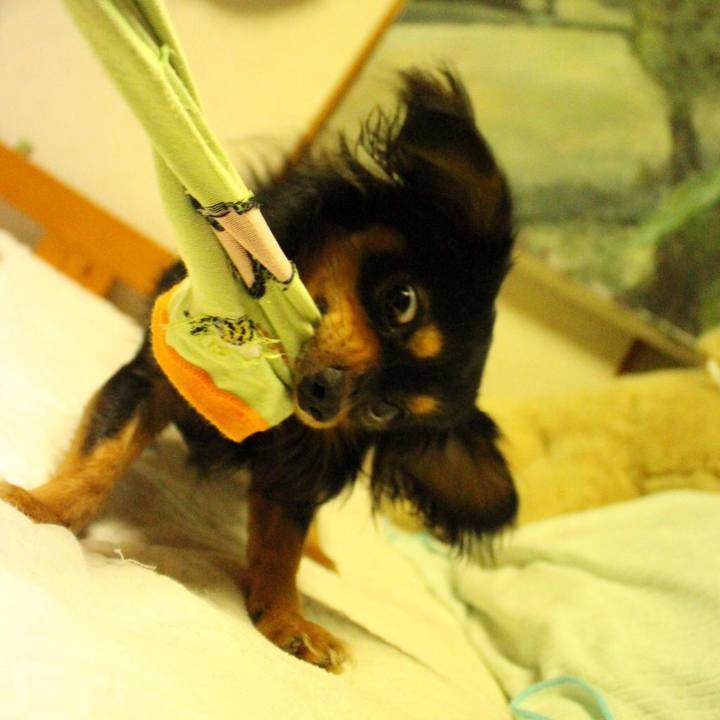 42c4406e 2bcb 46e9 96ac 164ff6a57e6b