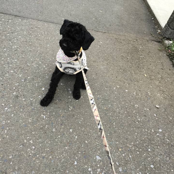 42c49187 3db0 4067 ba4d ecf069a6fe6b