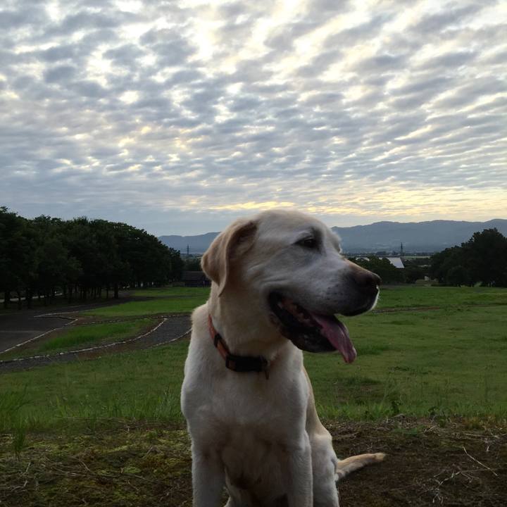 42c4a52c d14d 466d acea 7e3c4fb87c4d