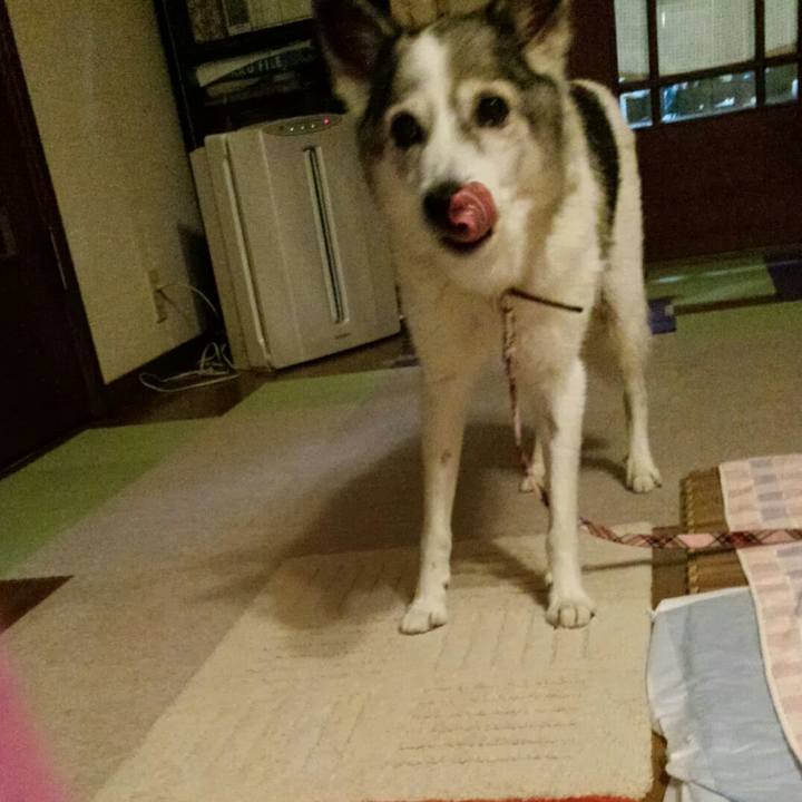 42c4b87f 41b5 4afd 9f72 a337fed9f96a