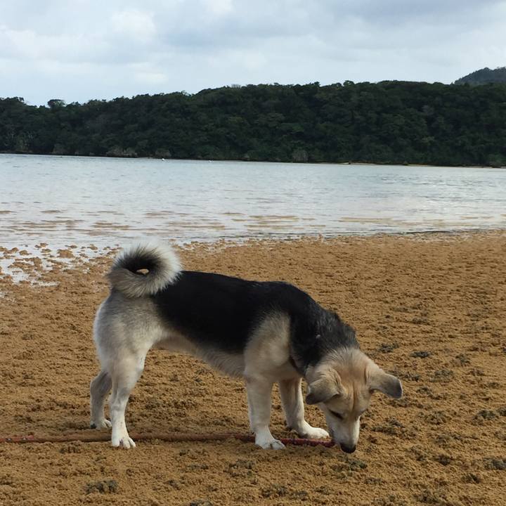 42c510a5 0c74 4e94 8450 2691d0a14114