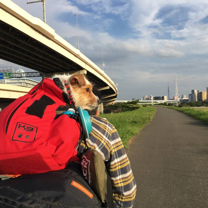 42c53fc9 4255 42d2 bb6c 000b1feb7b32