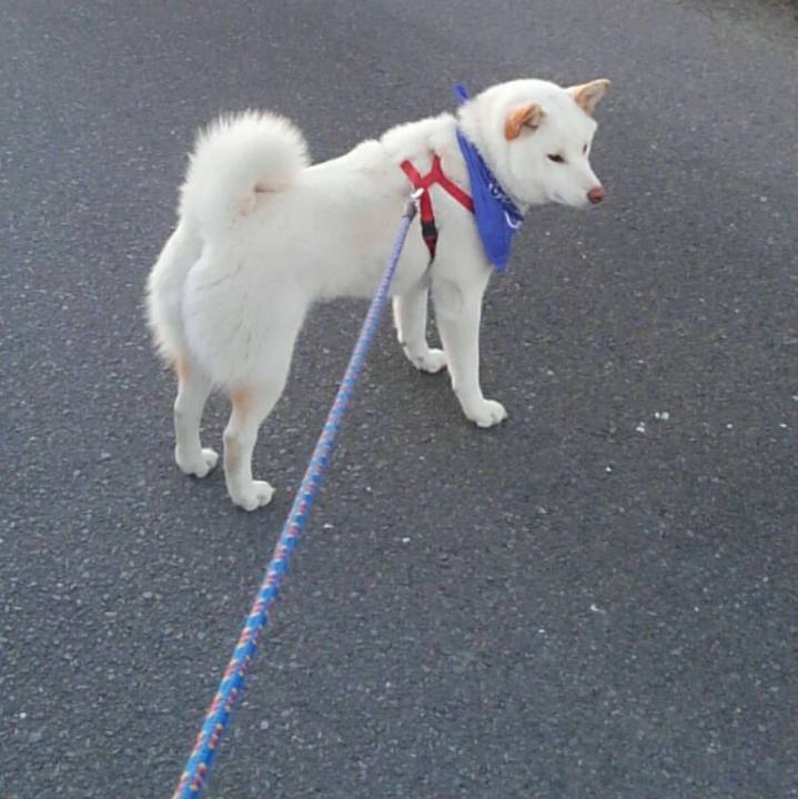 42c5519d 75d8 4fef 835e 21881f5a87a5