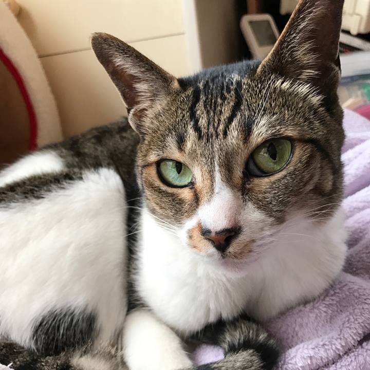 42c56b12 982c 494f 9210 e578c72c3870