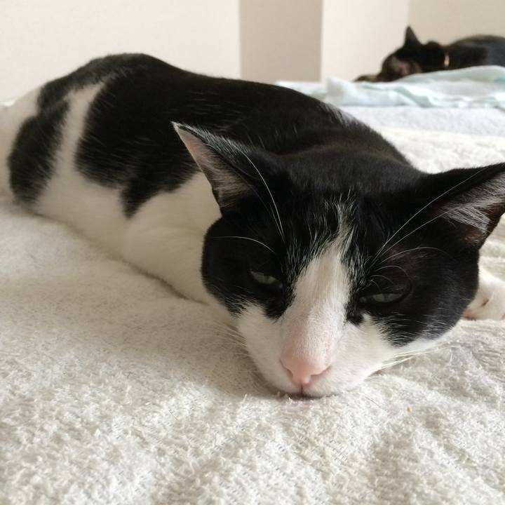 42c59754 be27 49a6 9c65 03a2641f38ae