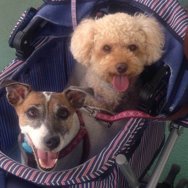 42c72952 0b67 4747 8d11 3aad0f17c28c