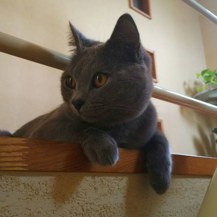 42c768b7 e80d 45f0 9293 d5857215a192