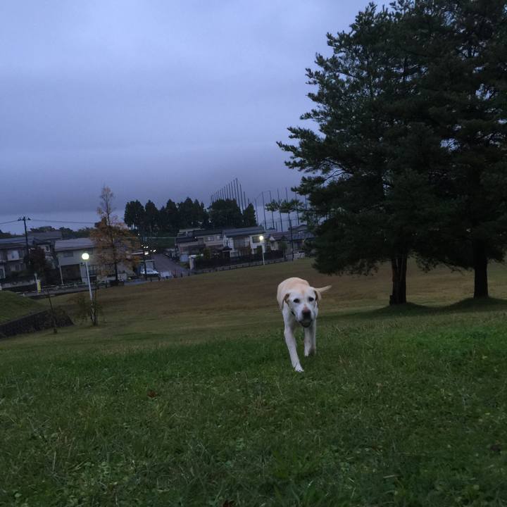 42c76cd1 09dc 4ba0 a489 9c3270ff66ec