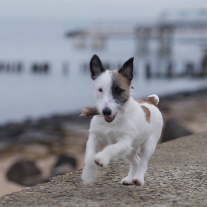 42c76fe4 823f 443c a22a b9dab578b88d