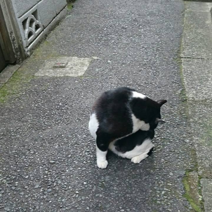 42c79e8d 4a29 4302 855a 1c26e7484d9f