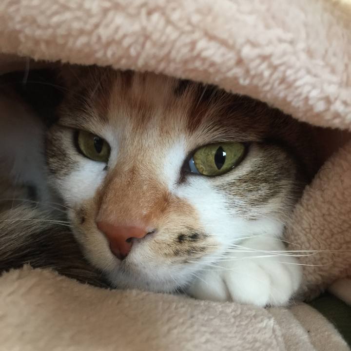 42c7aa42 10f7 4e63 8368 496e0d251cc9