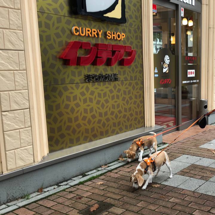 42c7f579 0c80 40fa 99ee 7f57aad5cc84